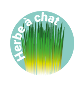 pictogramme arôme herbe à chat préparation magistrale vétérinaire