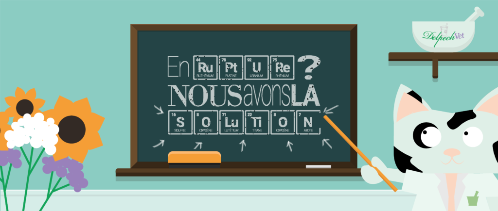 texte "en rupture ? nous avons la solution" écrit sur un tableau - chat delpech vet en préparateur