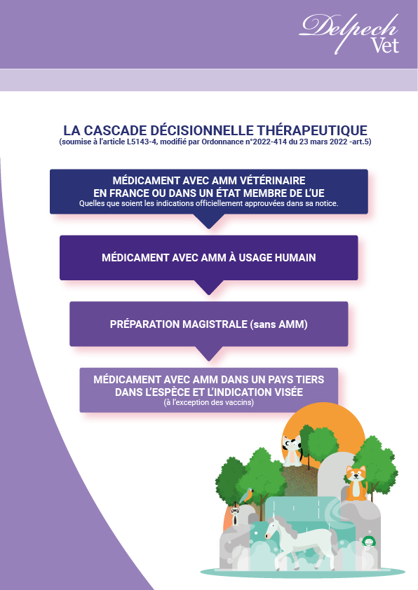 Cascade décisionnelle préparation magistrale vétérinaire