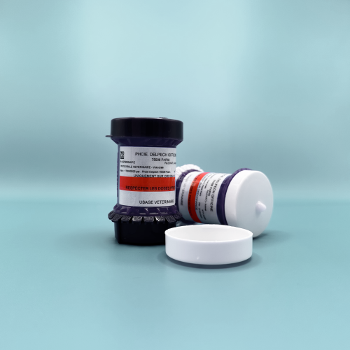 IMG_887555 IMG_887555